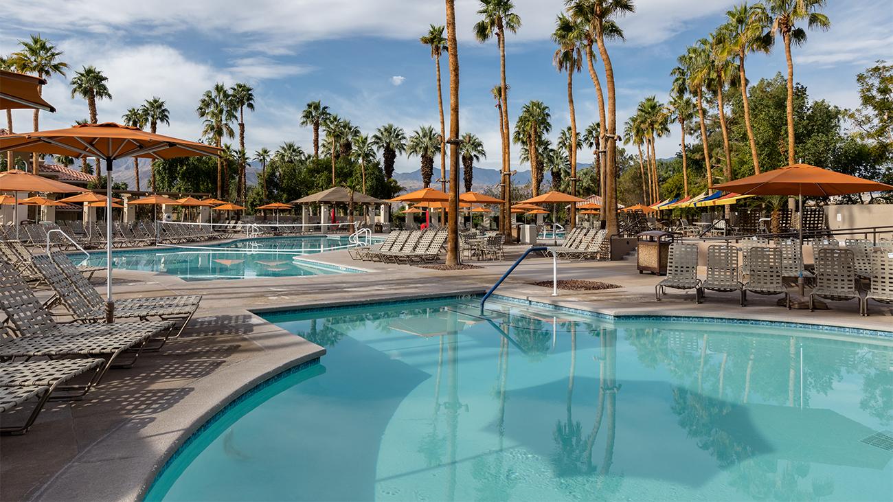 Palmeras Pool